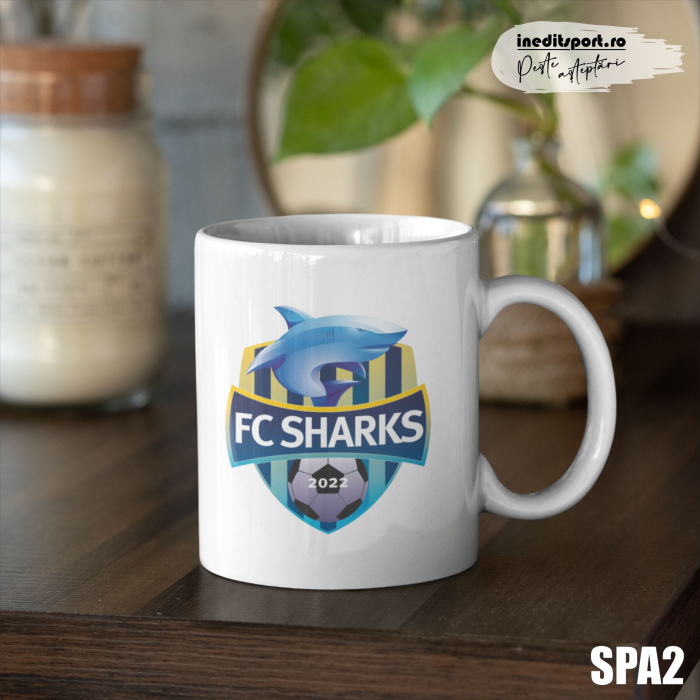 PACHETUL Antrenorului personalizat - SPA2 [3]