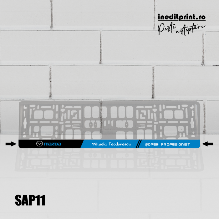Suport Auto Personalizat SAP11 [3]