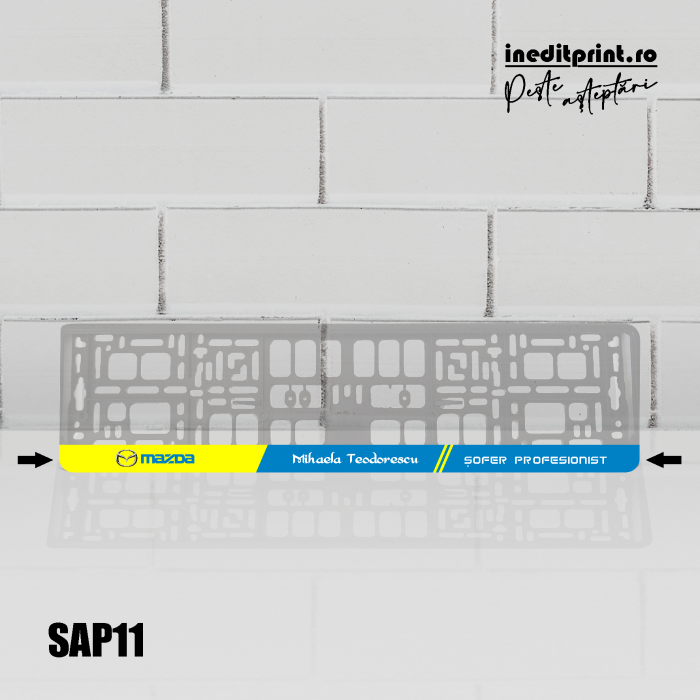 Suport Auto Personalizat SAP11 [6]