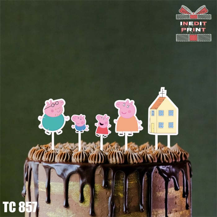 TEMATIC Pack 5 TPK1 [6]