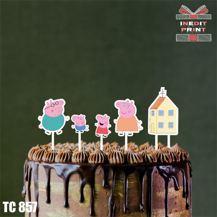 TEMATIC Pack 10 TPK2 [9]
