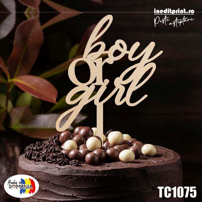 Topper tort Boy or Girl TC1075 [2]