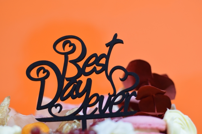 Topper Tort Best day Ever  TC12 [3]