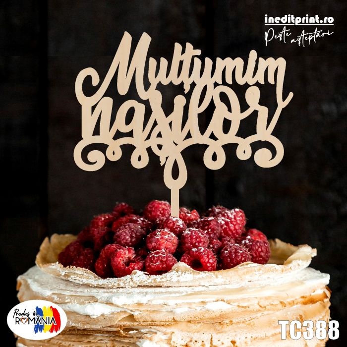 Topper Tort TC388 [3]