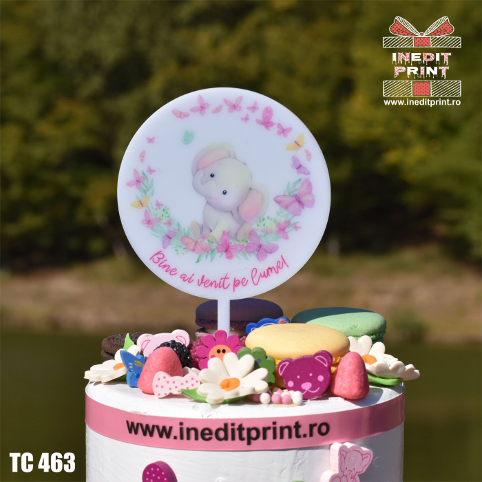 Topper Tort UV "Bine ai venit pe lume" TC463 [2]