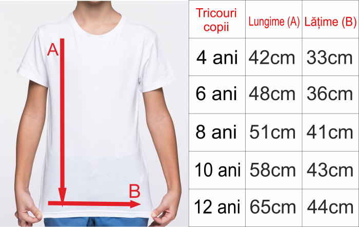 Tricou Copii Adio Gradinita, alb, 4 ANI TPC58 [2]