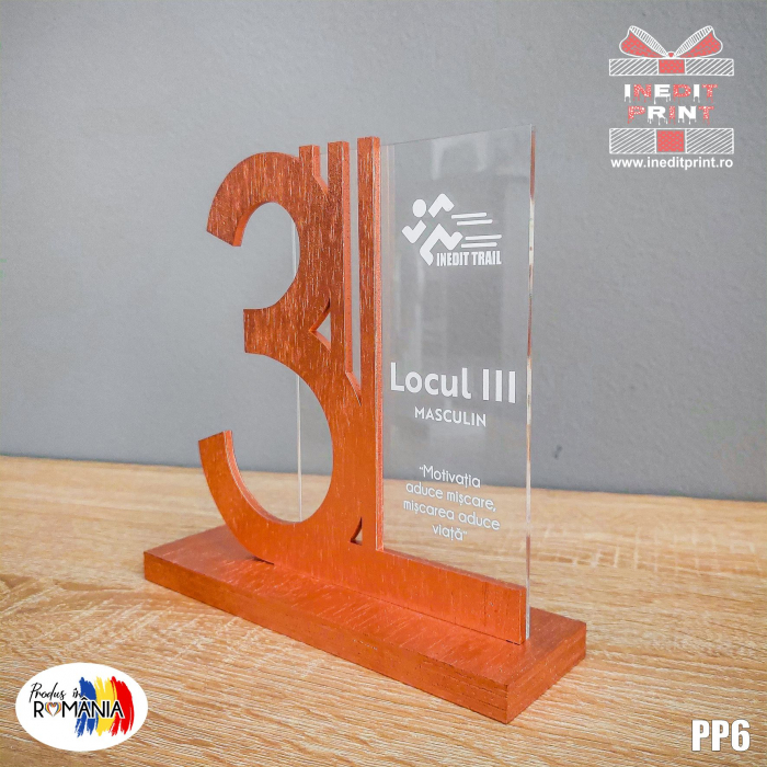 Trofeu Personalizat Locul 3 PP6 [4]