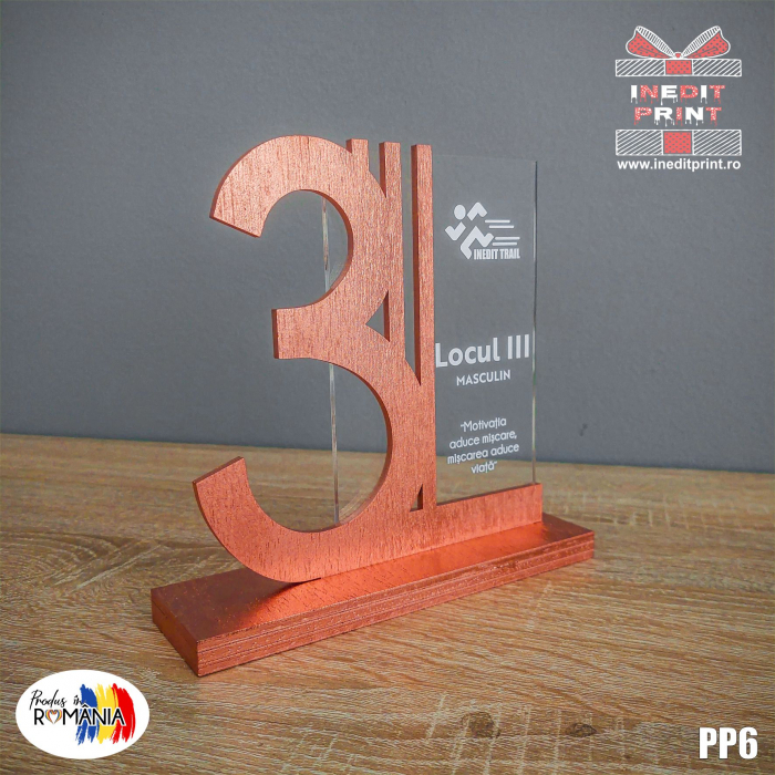 Trofeu Personalizat Locul 3 PP6 [2]