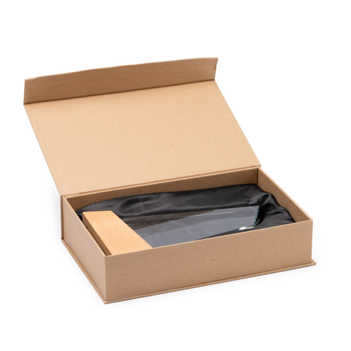 Trofeu personalizat Dascal de onoare PP14 [3]