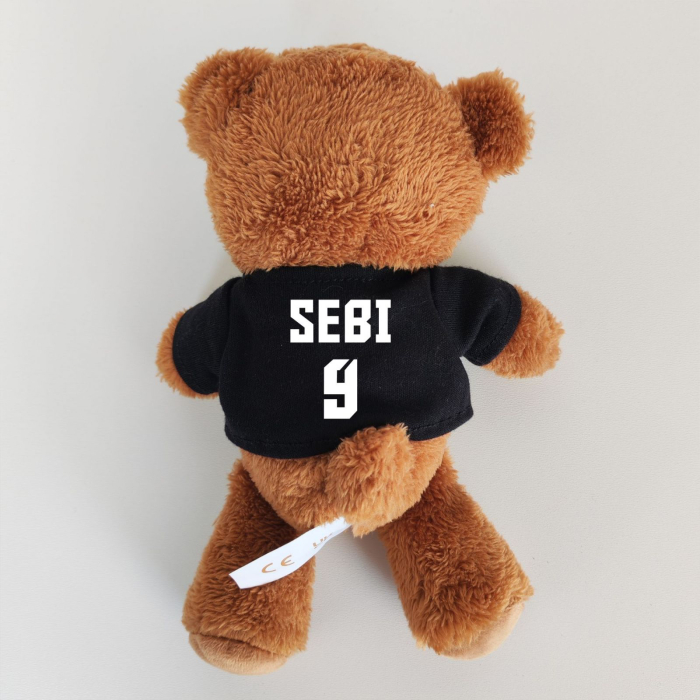 Ursulet Teddy Negru Personalizat PLUS4 [2]