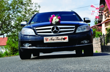 Plăcuțe număr auto - Placuta decor auto PDA3
