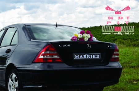 Plăcuțe număr auto - Placuta decor auto PDA5