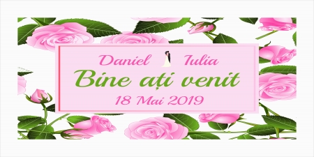 Plăcuțe de întâmpinare - Plăcută întâmpinare Personalizată PN17