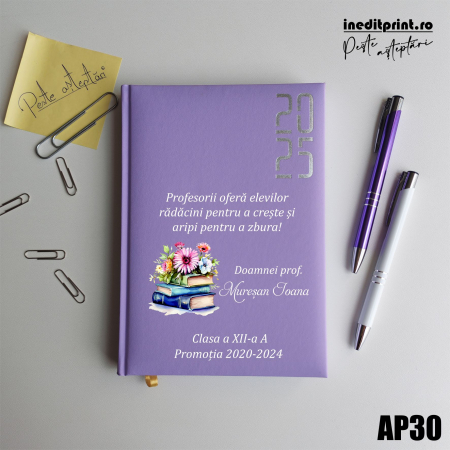 Agende C - Agenda personalizata 2025 Doamna Profesoara AP30