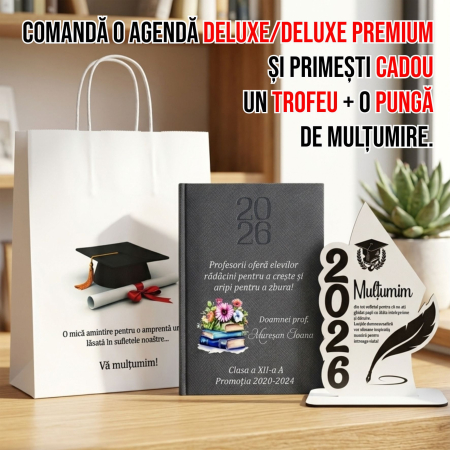 Agende C - Agenda personalizata 2026 Doamna Profesoara AP30