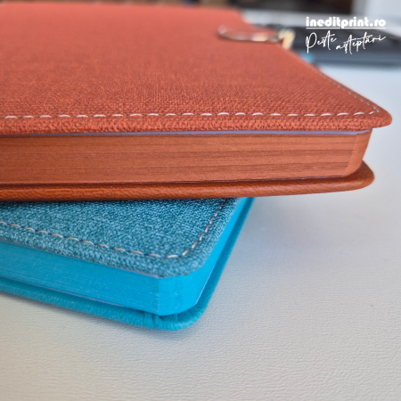 Agenda personalizata 2026 Medic de exceptie AP7 [1]