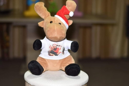 Ren Pluș Personalizat cu Poză și text [0]