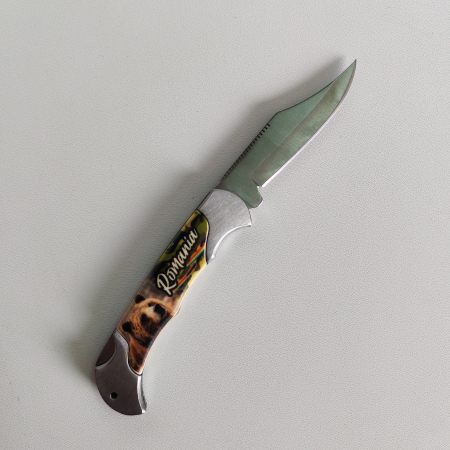 Briceag Romania SVR130 [2]