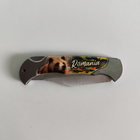 Briceag Romania SVR130 [1]