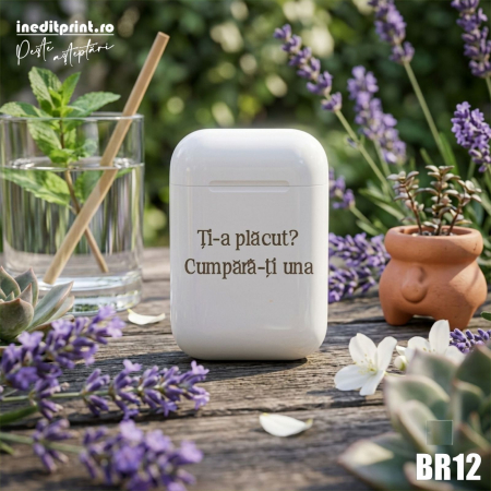 Brichete - Bricheta antivant Personalizata Ti-a placut BR12