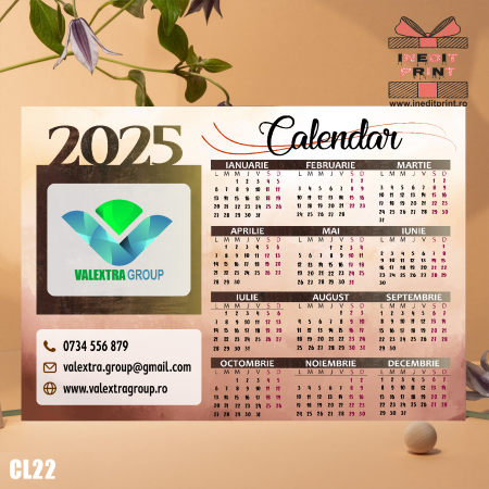 Calendare - Calendar magnetic BUSINESS 1 - CL22