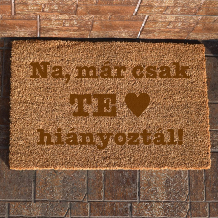 Covorase de intrare - Covoras intrare personalizat Te hianyoztal CIP22