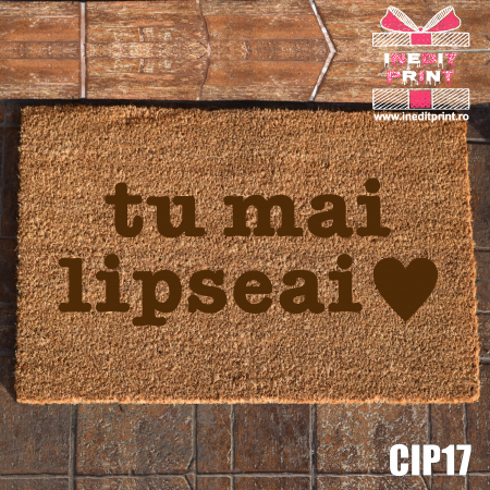 Covoras intrare personalizat Tu lipseai CIP17 [1]