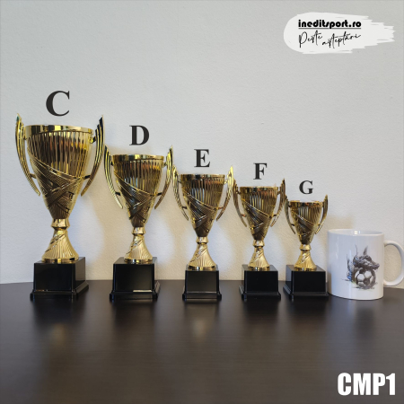 Cupa personalizata CMP1 [3]