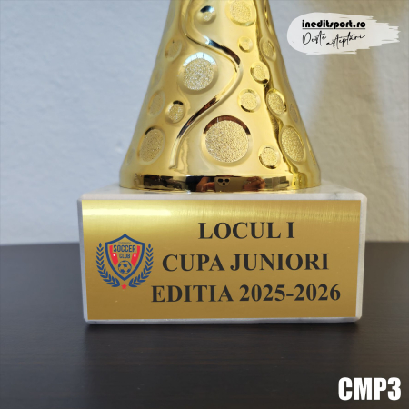 Cupa personalizata CMP3 [2]