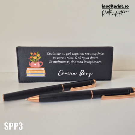 Set pixuri in cutie personalizata - invatatori SPP3