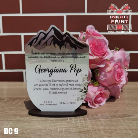 Decoratiuni - Decorațiune Botez DC9