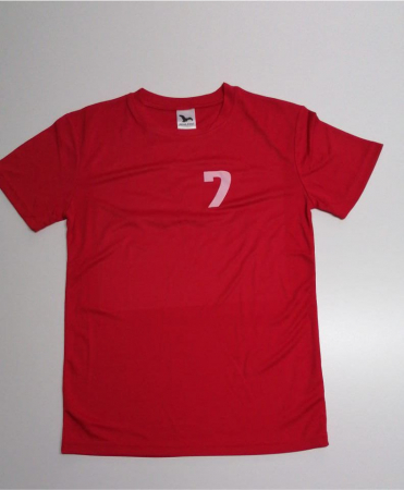 Outlet-Echipamente personalizate - Echipament  fotbal ”Malfini”  personalizat, mărimea M