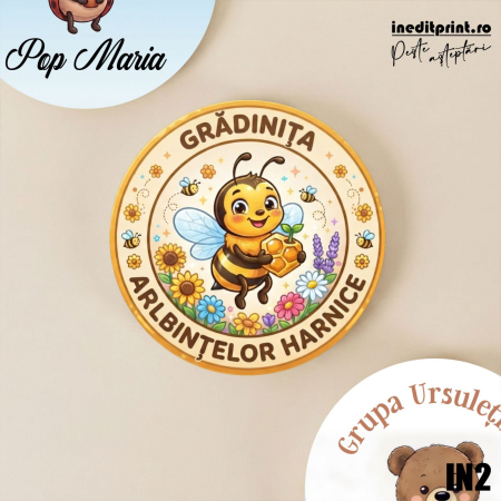 Insigne personalizate pentru scoli si gradinite IN2 [1]
