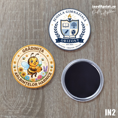 Insigne personalizate pentru scoli si gradinite IN2 [4]