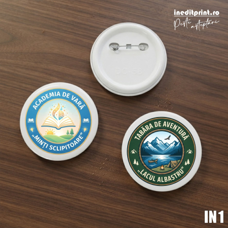 Insigne si ecusoane - Insigne personalizate pentru tabara IN1