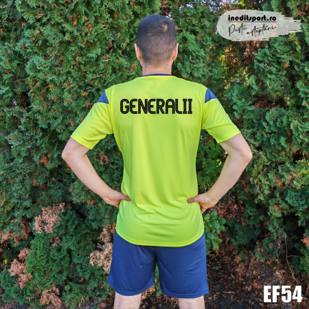 KIT Phoenix JOMA, galben cu bleumarin - EF54 [3]