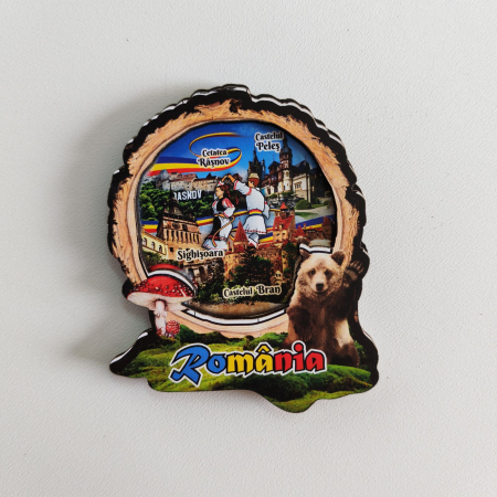 Magnet Dans Popular, Castele si Urs SVR121