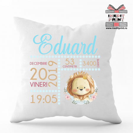 Perne - Perna Personalizata Baby Boy P6