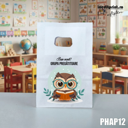 Back to School - Punga din hartie Back to School personalizata PHAP12
