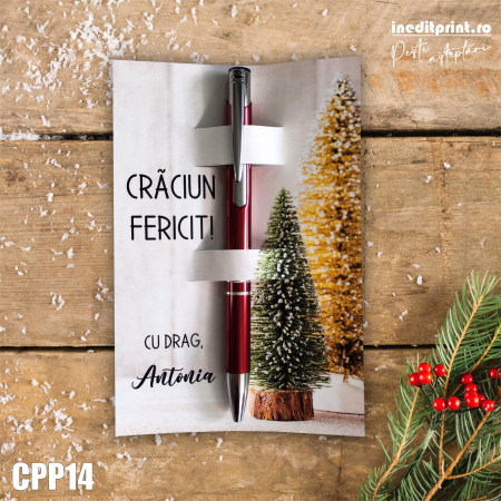 Cadouri sub 50 lei - Set Pix + Cartonas personalizat Craciun CPP14