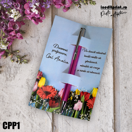 Instrumente de scris - Set Pix + Cartonas personalizat profesori CPP1
