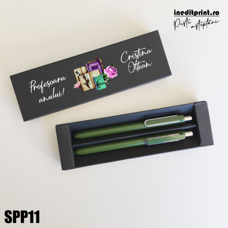Set pixuri in cutie personalizata - profesori SPP11 [1]
