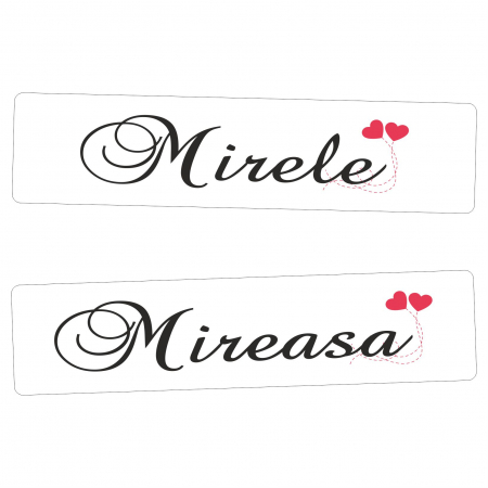 Set Placute decor auto PDA11 [2]