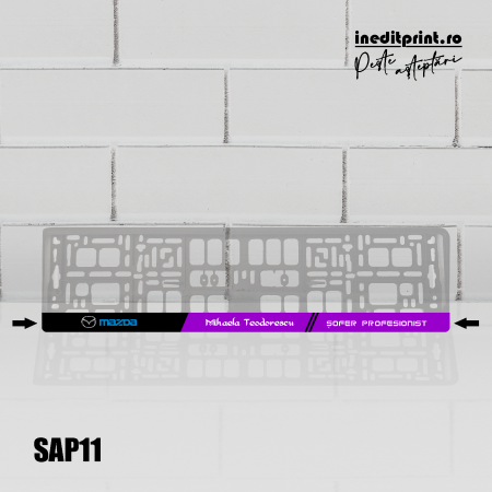 Suport Auto Personalizat SAP11