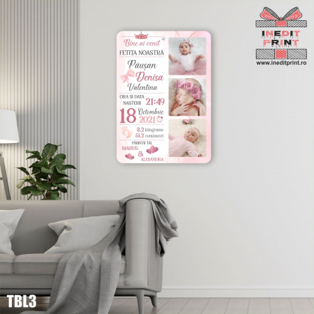 Tablouri - Tablou personalizat ”Bine ai venit” TBL3