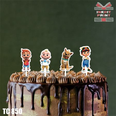 TEMATIC Pack 10 TPK2 [11]