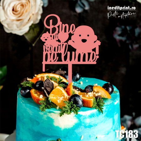 Botez pentru copii - Topper Tort Bine ai venit pe lume  TC183