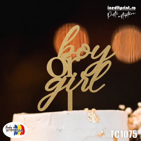 Botez pentru copii - Topper tort Boy or Girl TC1075