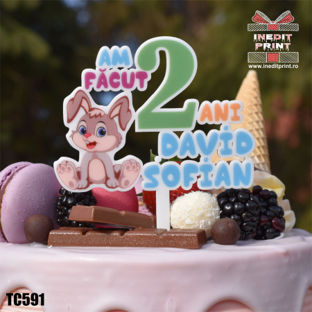 Natura si Animalute - Topper Tort UV Personalizat Am facut 2 ani TC591