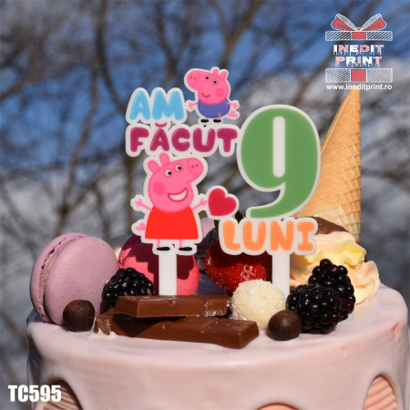 Topper Tort UV Personalizat Am facut 9 luni TC595 [1]